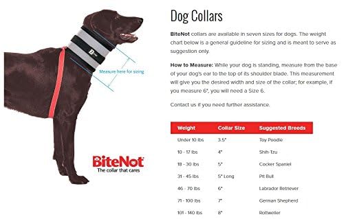 Bitenot Collar, 7' W X 28' L