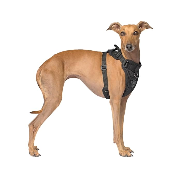 Canada Pooch Everything Dog Harness Black Mesh X-Large