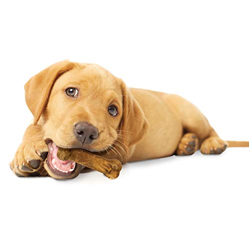 Nylabone Healthy Edibles Natural Puppy Chews Long Lasting Lamb & Apple Flavor Treats for Puppies, X-Small/Petite (4 Count)