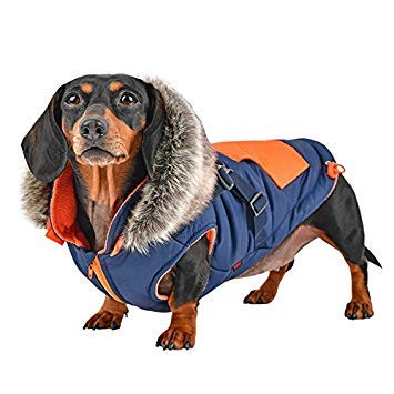 Puppia Orson Dog Coat - Red - S