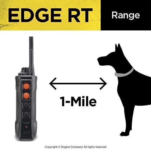 Dogtra Edge Rt Long Range High-Output 1-Mile Waterproof 3-Dog Expandable Remote Dog Training E-Collar With Combination Boost Con