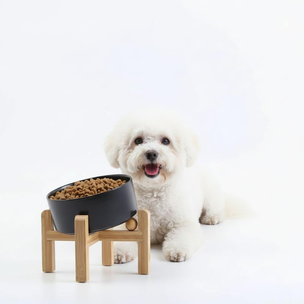 Petygooing Raised/Elevated 15Slanted Ceramic Dog Bowl for Small Breeds,Tilted Anti Slip Pet Feeding Bowl,Food Water Dish with St