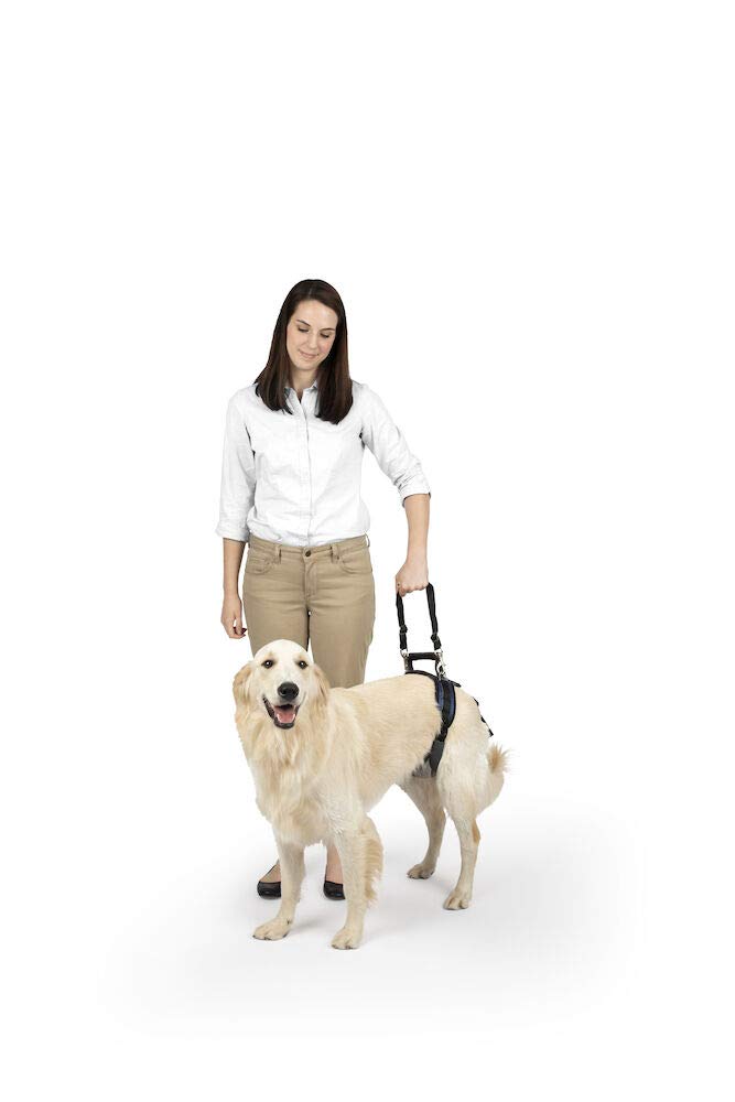 PetSafe CareLift Rear Support Harness - Lifting Aid with Handle and Shoulder Strap - Fits Waist Measuring 27-37 inches, Dog Weig