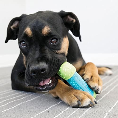 KONG CoreStrength Bone - Dog Dental Chew Toy - Durable, Multi-Layered Dog Toy for Enrichment Play & Dental Care - with Textured