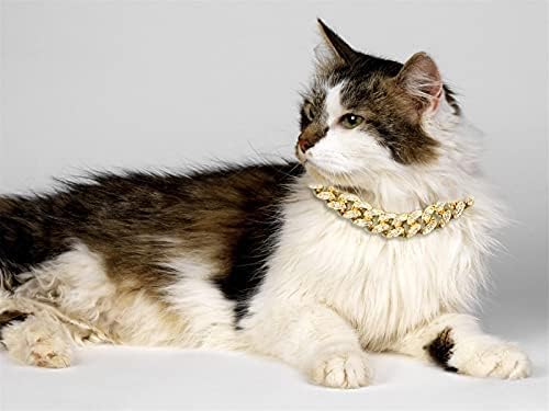 Halukakah Cat Collar - Carat - Iced Out Diamond Cuban Link Gold Chain For Cats & Kittens - Platinum Plated 7' Collar Size - For