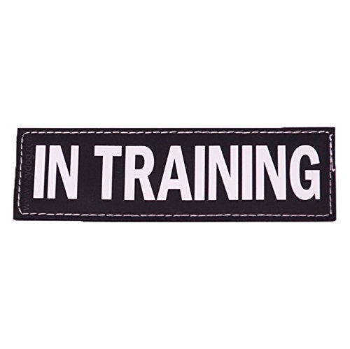 EzyDog Side Badge - Clearly Identifies Your Dog When Wearing The Convert Dog Harness - Set of Two Badges (in Training, Large)
