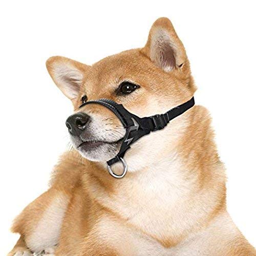 Lepark Nylon Dog Muzzle For Small,Medium,Large Dogs Prevent From Biting,Barking And Chewing,Adjustable Loop(M/Green)