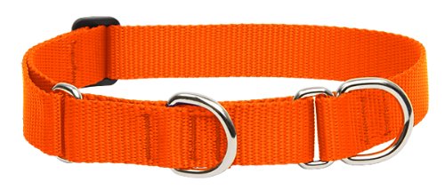 Lupinepet Basics 1' Blaze Orange 15-22' Martingale Collar For Medium And Larger Dogs