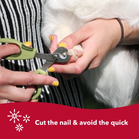 Coastal Pet Safari Dog Deluxe Nail Trimmer - Large Finger Hole And Easy Grip - Stainless Steel Pet Nail Clippers - One Size