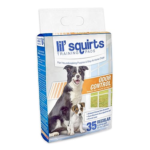 LIL SQUIRTS Training Pads with Charcoal Activated Odor Control 35ct