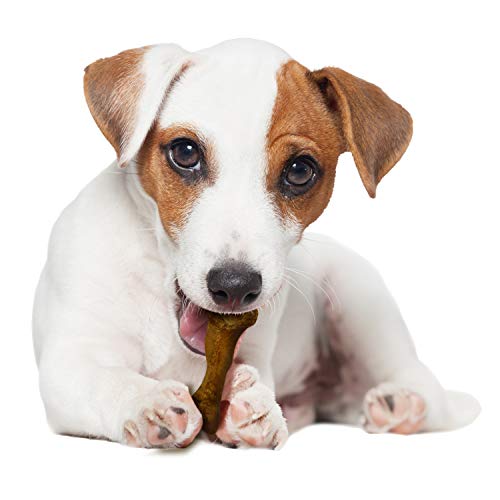 Nylabone Healthy Edibles WILD Natural Long-Lasting Bison Flavor Bone Chew Treats for Dogs, Small (8 Count)