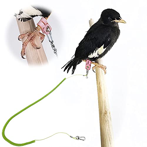 kcrygogo Parrot Bird Harness Leash - Anti-Bite Outdoor Training Rope with 5 Soft Foot Loops, Large, Plastic, Upgraded Version