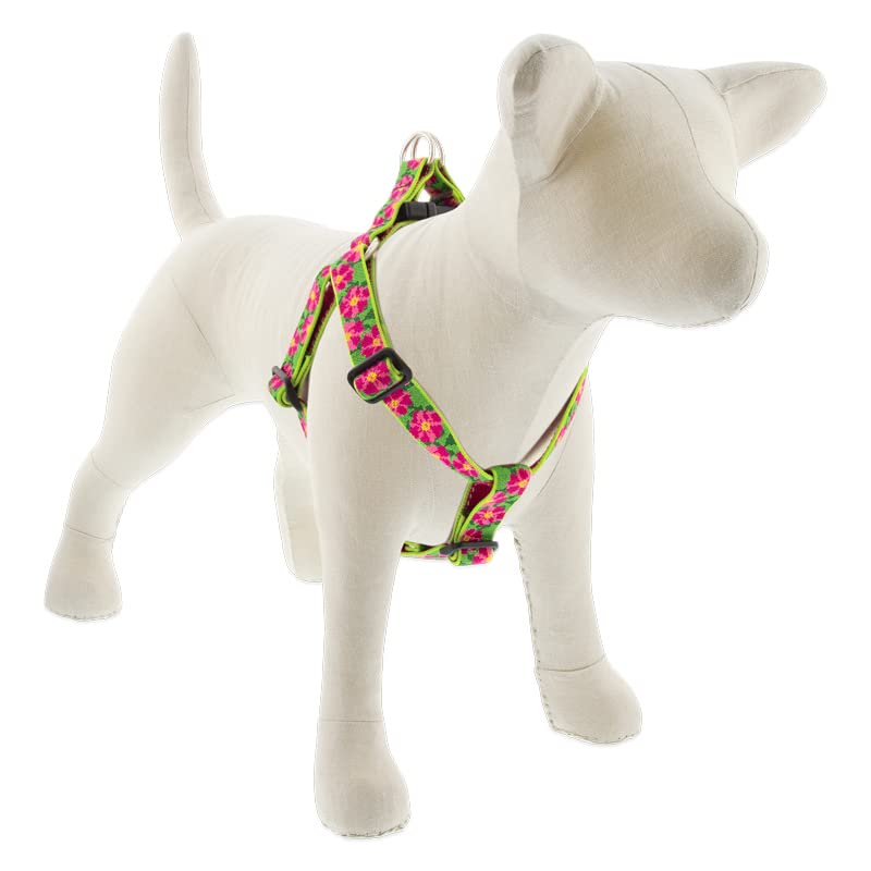 Lupine Step in Dog Harness 1'' Wide Petunias with 24-38'' Girth