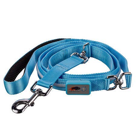 Blazin Light Up Led Dog Leash - 1,000 Feet Visibility - Usb Rechargeable, Waterproof, Glow In Dark - 6 Foot, Light Blue