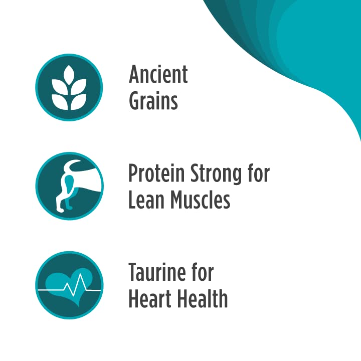 Nulo Frontrunner Ancient Grains High-Protein Small Breed Dog Food, Turkey, Whitefish, & Quinoa Recipe- Natural Dry Dog Food with