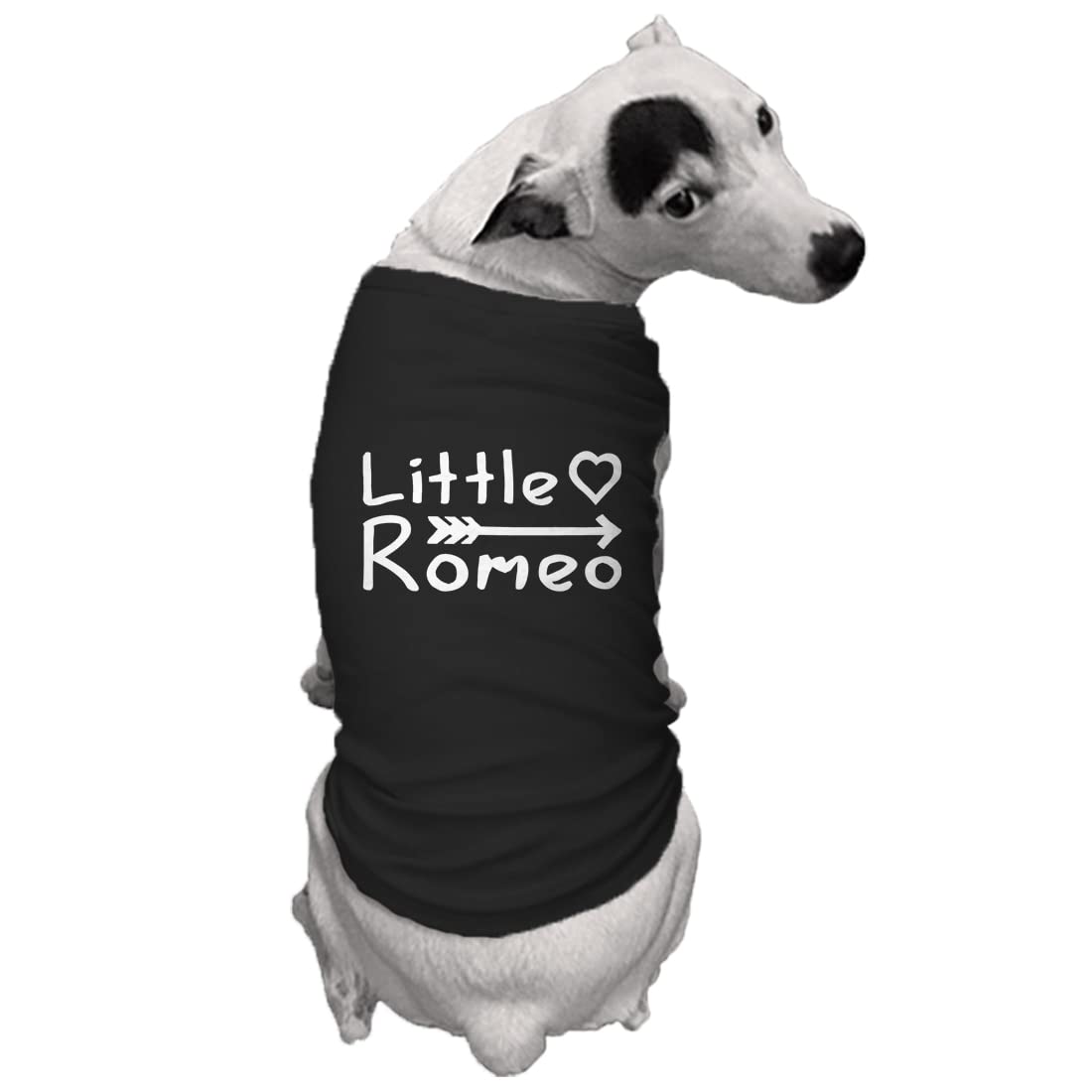 Little Romeo - Stud Handsome Cute Juliet Love Dog Shirt (Black, 2X-Large)