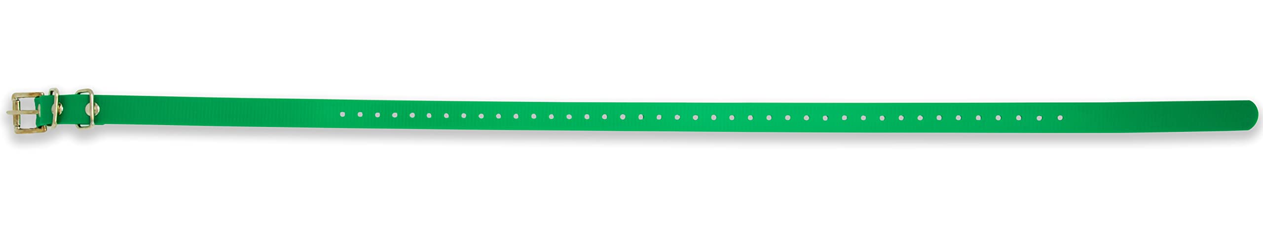 Educator Biothane Dog Collar, Waterproof, Odorproof, Metal Buckle And D Ring, Adjustable For Custom Fit, Cool And Comfortable, For Small, Medium, Or Large Dogs, 3/4-Inch, Green