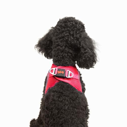 Tailpetz XSmall Dog Harness Red, Adjustable Step in No Pull Harness for Small Dogs, Reflective Puppy Harness for Puppy Training,