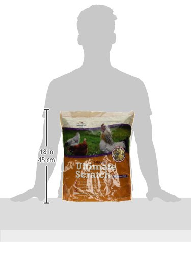 Manna Pro 7-Grain Ultimate Chicken Scratch - Non-GMO Treat for Birds - 10 lbs - Original Version