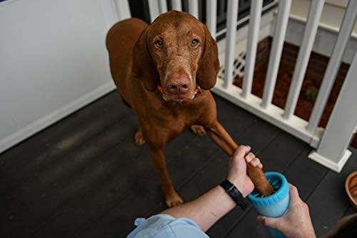 Dexas Mudbuster Portable Dog Paw Cleaner, Medium, Blue