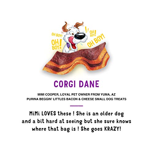 Purina Beggin Dog Treats, Fun Size With Bacon and Cheese Flavor - (6) 6 oz. Pouches