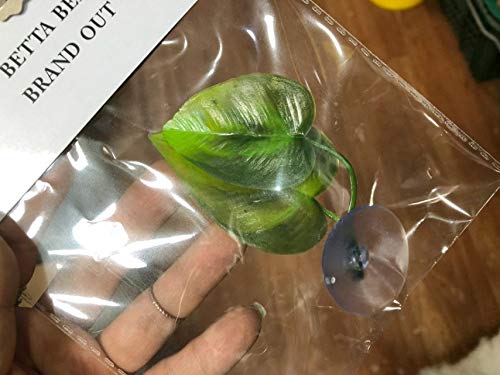Cousduobe 3 Pack Betta Fish Leaf Pad Improves Betta'S Health By Simulating The Natural Habitat - Natural, Organic, Comfortable R