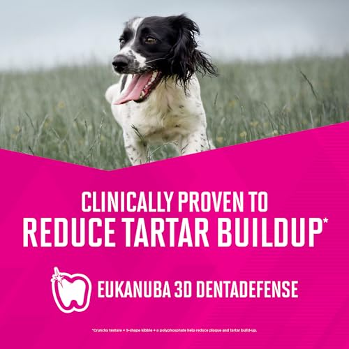 Eukanuba Fit Body Weight Control Medium Breed Dry Dog Food, 15 lb - Premium Nutrition for Weight Management