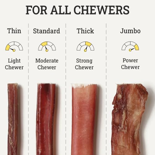 Supreme 12-inch Jumbo Bully Sticks by Sancho and Lolas (5 Pack) All-Natural, Long-Lasting Dog Chew Treats - Free-Range, Grass-Fe