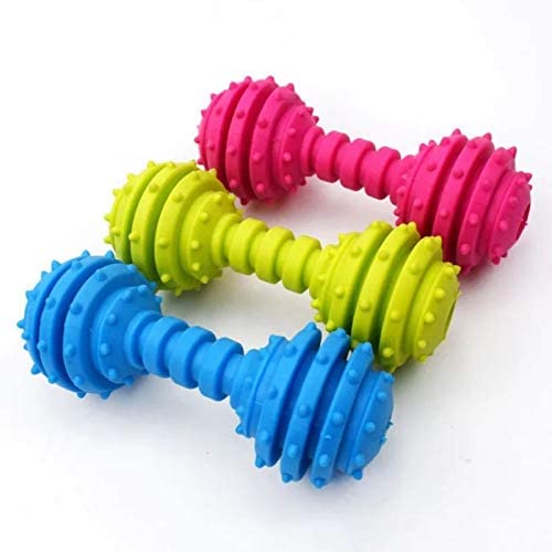 Petlicious & More 100% Non Toxic Rubber Puppy Toy Spike Dumbbell With Bell Chew Toy Teething Toy (Spike Dumbbell With Bell, Colo