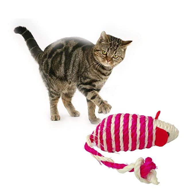 Bohobark Durable And Non Toxic Funny Nylon Rope Catnip Mouse Cat Toy Ideal For Chewing And Playing Small Cats And Kittens  Pack