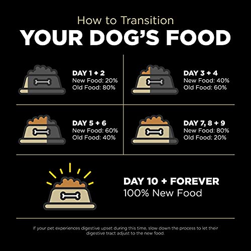 Go! Solutions Carnivore, Grain-Free, Protein Rich Dry Dog Food, Lamb and Wild Boar Recipe, 22 lb Bag