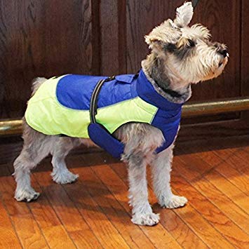 Doggie Design Alpine All Weather Dog Sport Parka Coat - Cobalt Blue and Iridescent Green Size XS