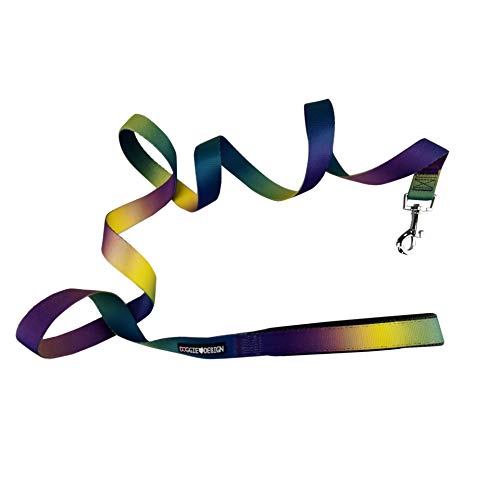 Doggie Design Ombre Leash (5/8 Inches Wide X 4 Feet Long, Cosmic Splash)