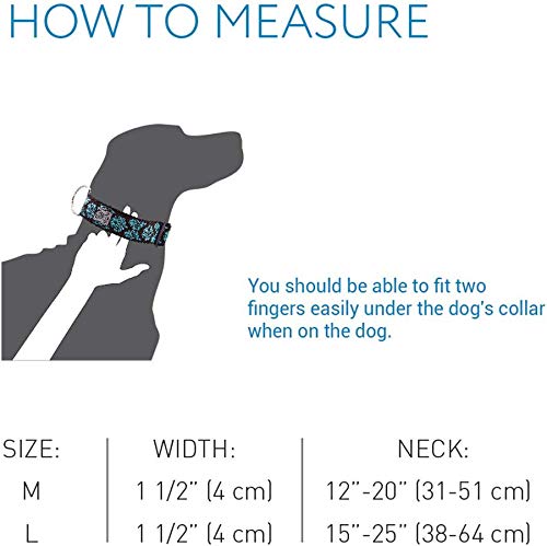 Rc Pets 1-1/2 Inch Wide Adjustable Dog Clip Collar, Large, Watermelon