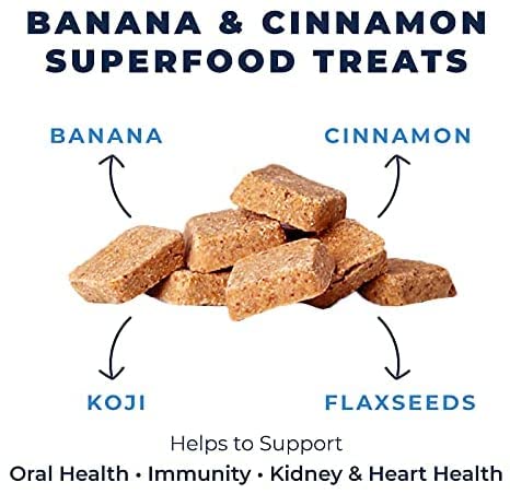 Wild Earth Superfood Dog Treats, Plant Based Dog Treats with Omega Acids, Prebiotics & Koji Protein, No Fillers, Veterinarian-De