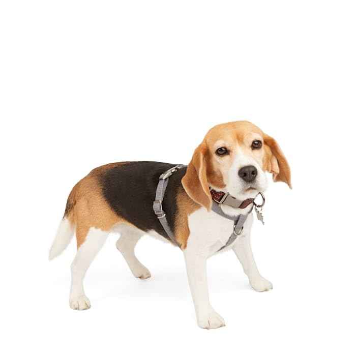 Reddy Grey Reflective Dog Harness Medium