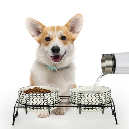 Signature Housewares Ceramic Pet Bowl Set - Food Water Bowls for Dogs and Puppies, Large Cats with Sturdy Metal Stand - Set of 2