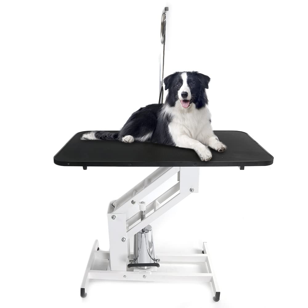 Bonnlo Hydraulic Dog Grooming Table, Professional Heavy Duty Grooming Table For Dogs, Trimming Table Drying Table W/Arm/Noose