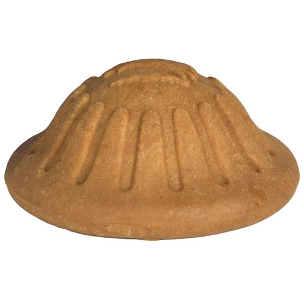 Everlasting Treat Ball