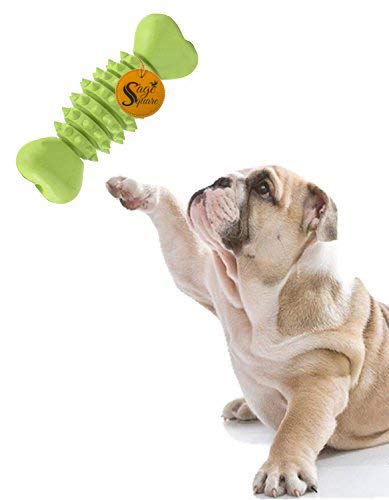 Jumbo Size Natural Rubber Bone Shape Toy Cum Tug Toy Cum Chew Toy For Dog/Puppy/Cat/Kitten (Green)