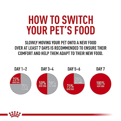 Royal Canin Canine Health Nutrition Puppy Loaf in Sauce Dog Food, 5.2 oz (Pack of 12)