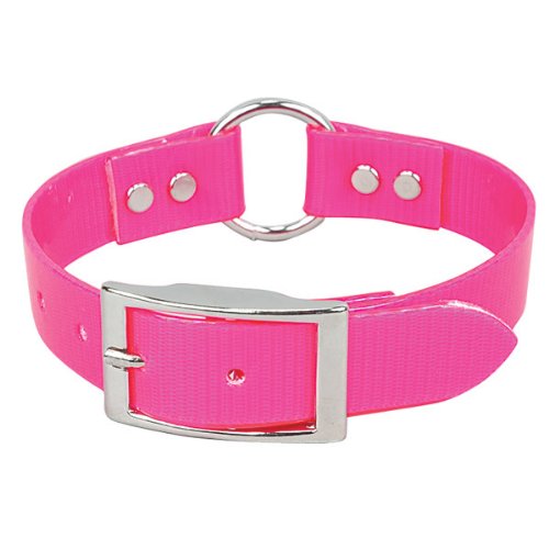 Omnipet Sunglo Ring-In-Center Dog Collar, 1' Wide, Pink, Fits 12'- 15.5' Neck Sizes, Vibrant Colors & Tough Construction For 
