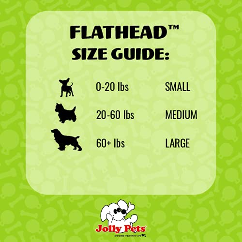 Jolly Pets Flathead Tug/Squeak Toy, Large