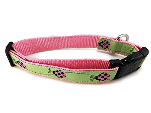 Ladybug Dog Collar, Caninedesign, Green, Pink, 1 Inch Wide, Adjustable, Nylon, Medium And Large (Large 15-22)
