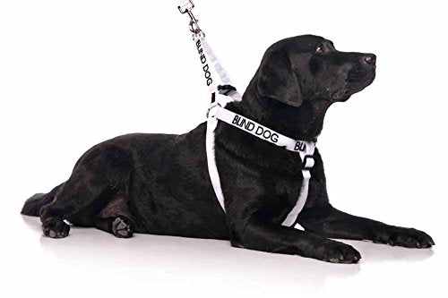 Dexil Limited Blind Dog White Color Coded Alert Warning L XL Non-Pull Dog Harness Prevents Accidents by Warning Others of Your D