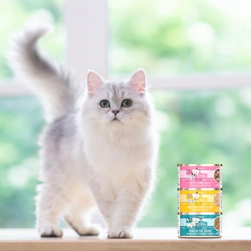 Weruva Cats in The Kitchen, Chicken Frick A Zee Wet Cat Food, 10oz Can (Pack of 12)