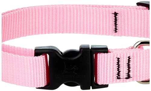 DOG COLLAR ADJ13-22PINK (Pack of 1)
