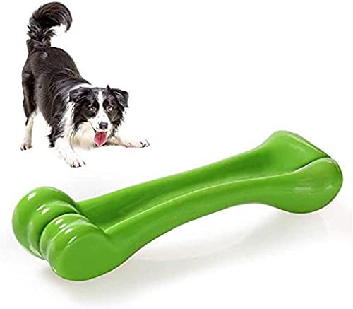 Rvpaws Interactive NonToxic Natural Rubber Bone Dental Chew Biting Teething Dog & Puppies Toy (Colour May Vary)