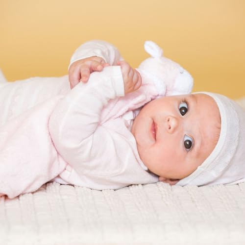 Angel Dear - Pink Lamb, Blankie, 1X1X1 Inch (Pack Of 1)