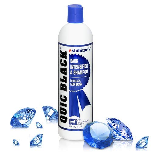 Exhibitor'S Quic Black Shampoo 16 Ounce Color Enhancing For Dark Coats (321266)